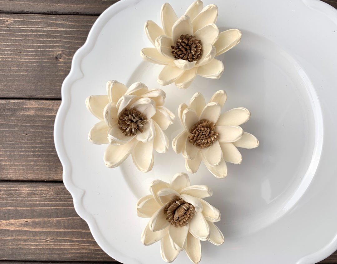 Sola Wood Flowers - Venus