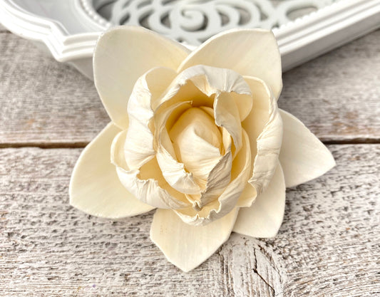 Sola Wood Flowers - White Pearl - Luv Sola Flowers