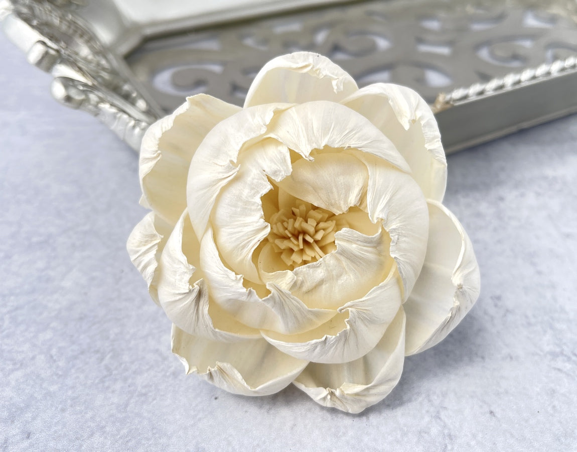 Sola Wood Flowers - White Peony - Luv Sola Flowers