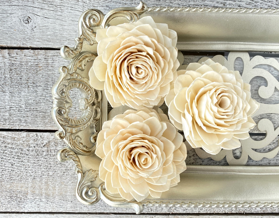 She Dips Flowers In Plaster Of Paris And When They Dried Watch What She Did  With Them!