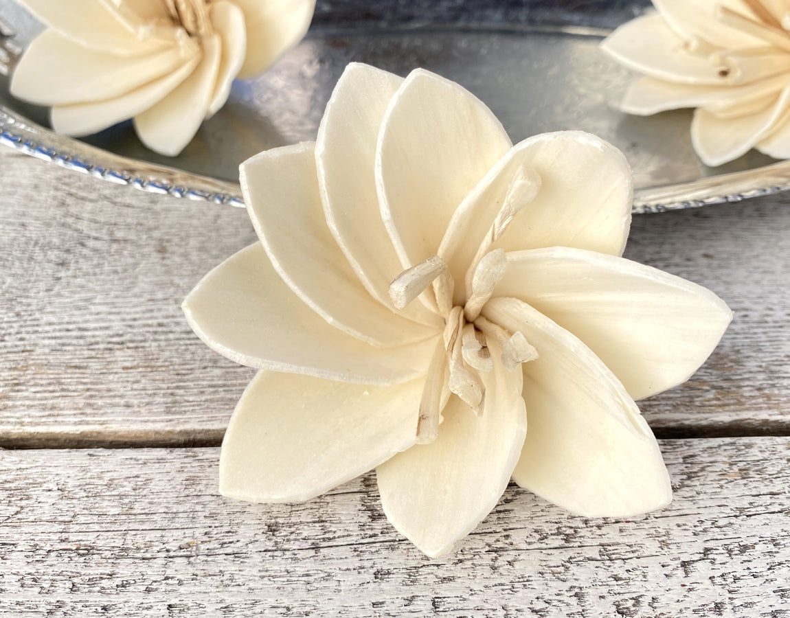 Sola Wood Flowers - Wild Lily - Luv Sola Flowers