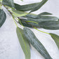 Willow Eucalyptus Faux - Luv Sola Flowers - Faux Filler