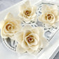 Sola Wood Flowers - Winter Rose - Luv Sola Flowers