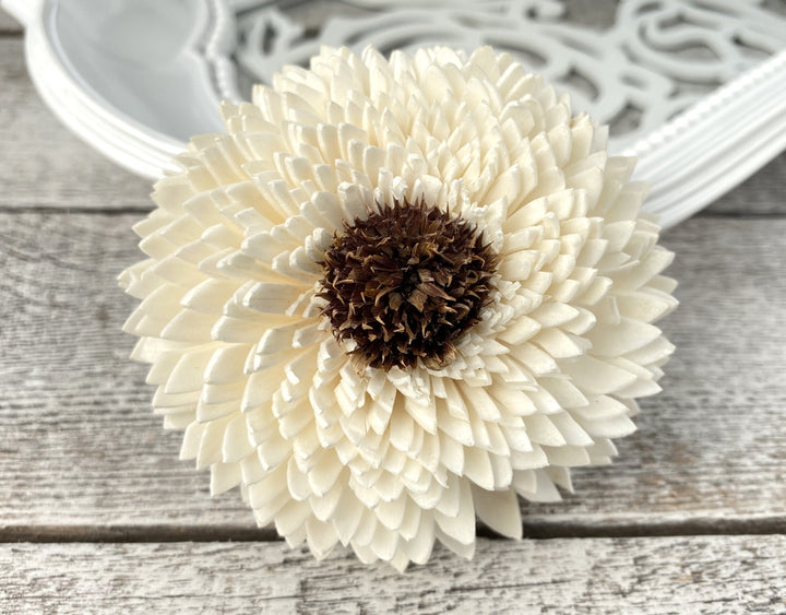 Sola Wood Flowers - Zinnia Daisy