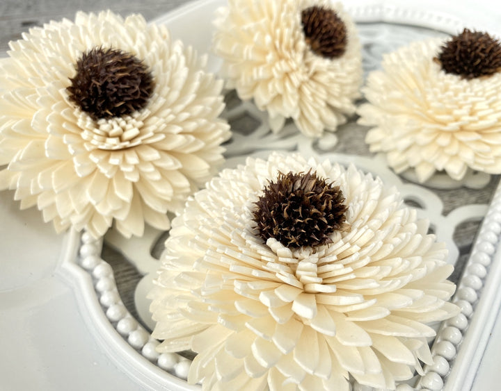 Sola Wood Flowers - Zinnia Daisy